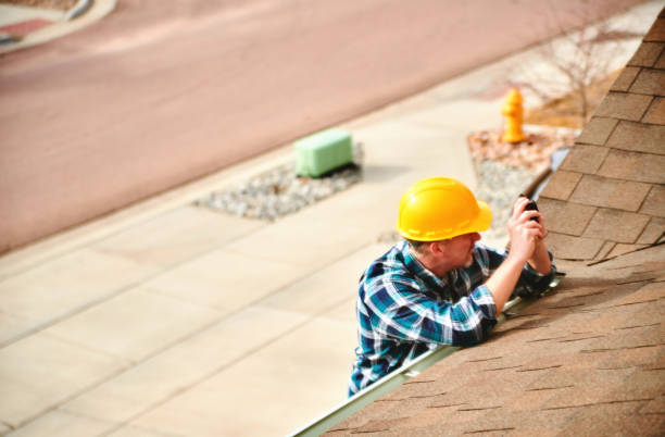 Best Roof Gutter Cleaning  in Spring Valley, MN